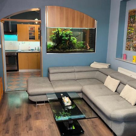 Suk Apartman 24 Сухдол-над-Лужницы Экстерьер фото